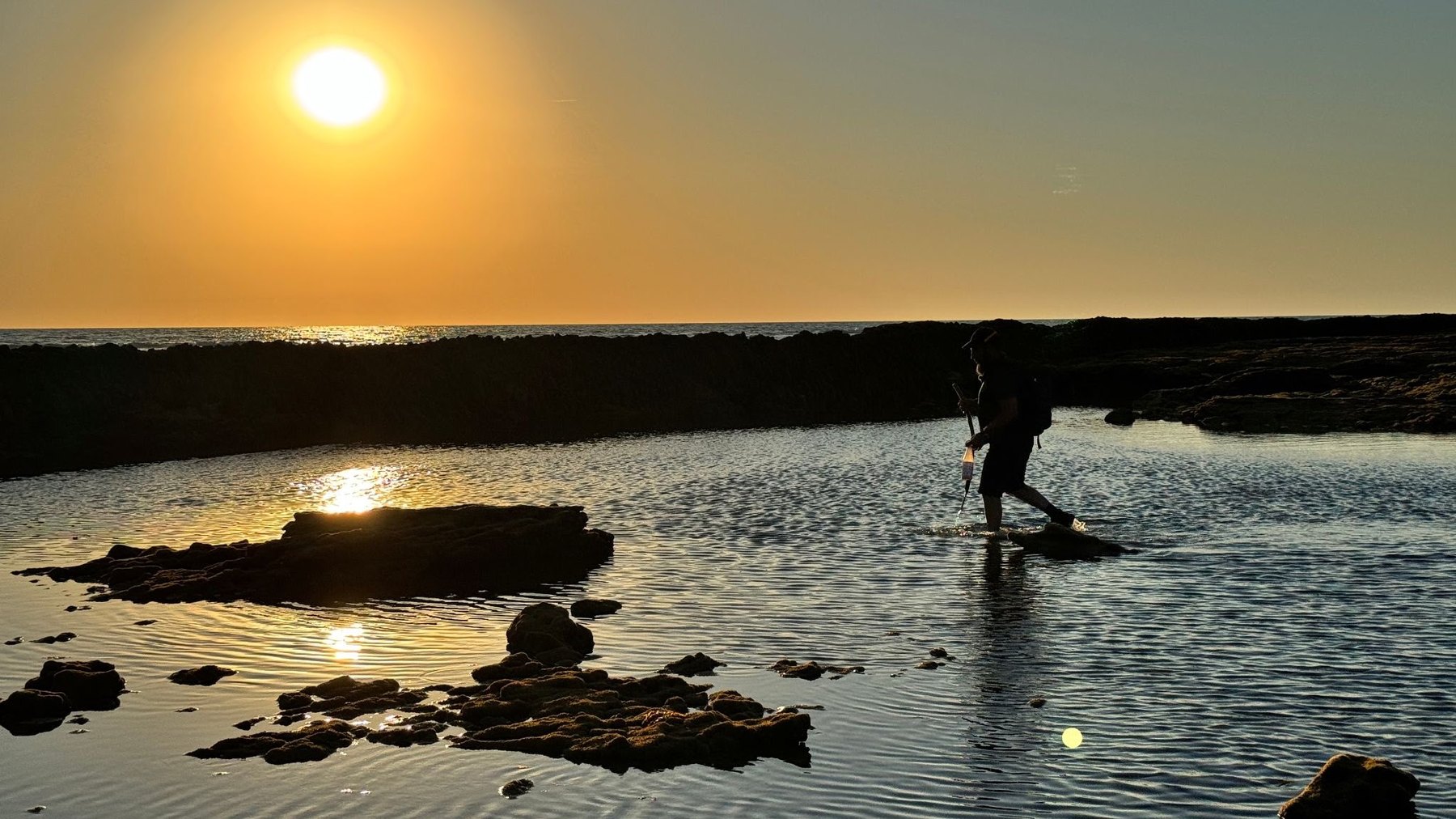A corralero wading across the water inside the trap at sunset