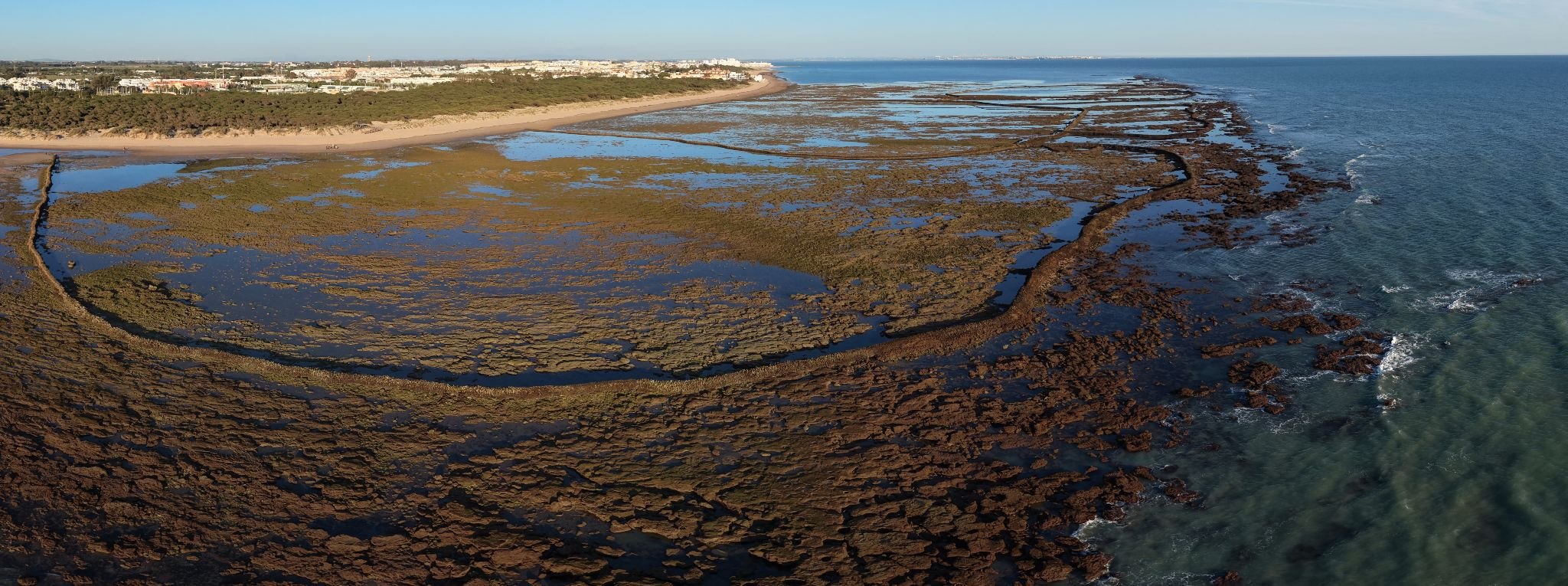 Vista aérea panorámica de los corrales de Rota con la marea baja, con el pinar y el pueblo al fondo