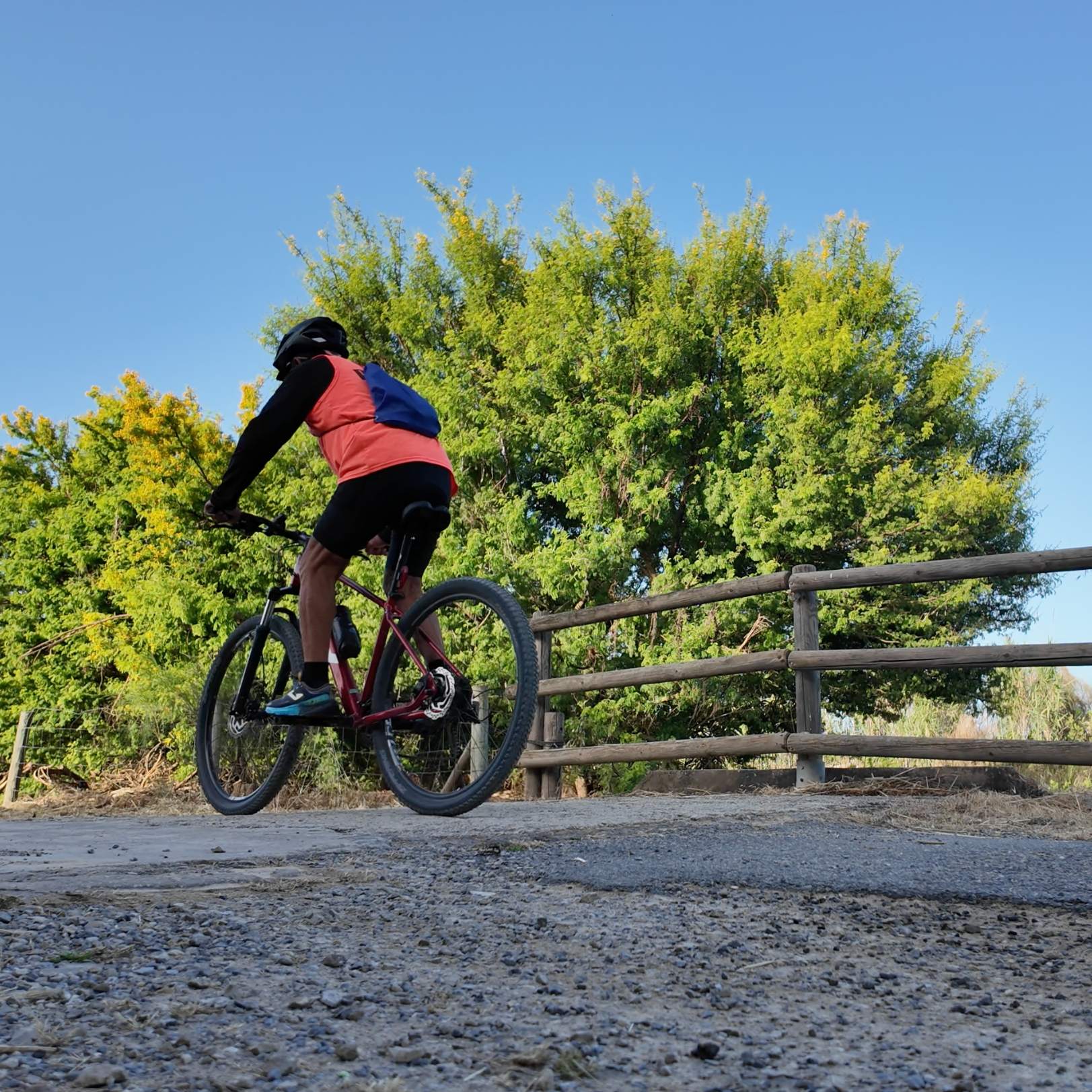 Ciclista recorriendo la Vía Verde de Rota entre arbolado