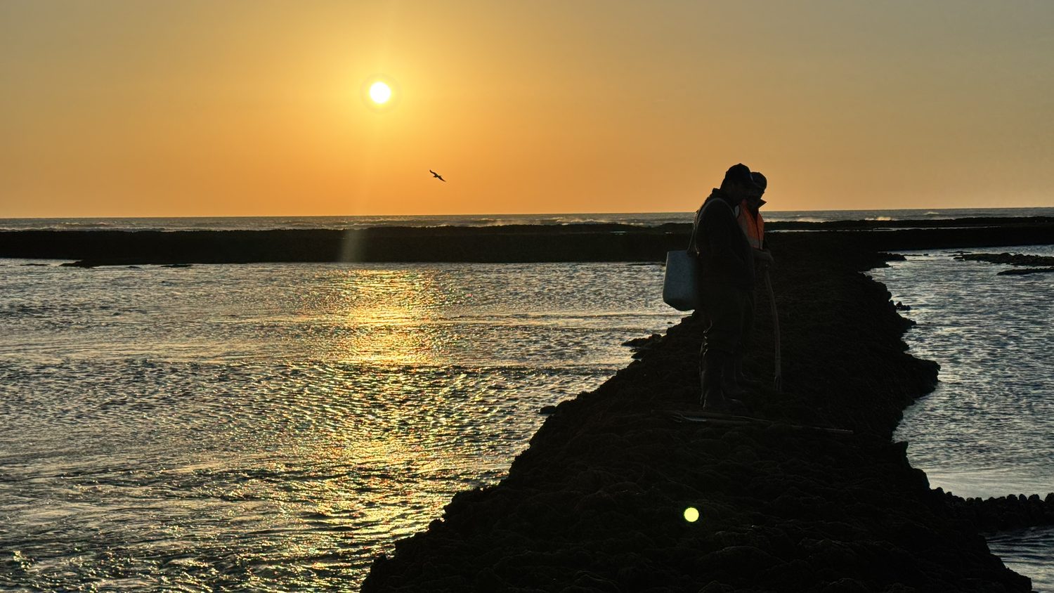 A visitor walking along the wall of a corral in Rota at sunset